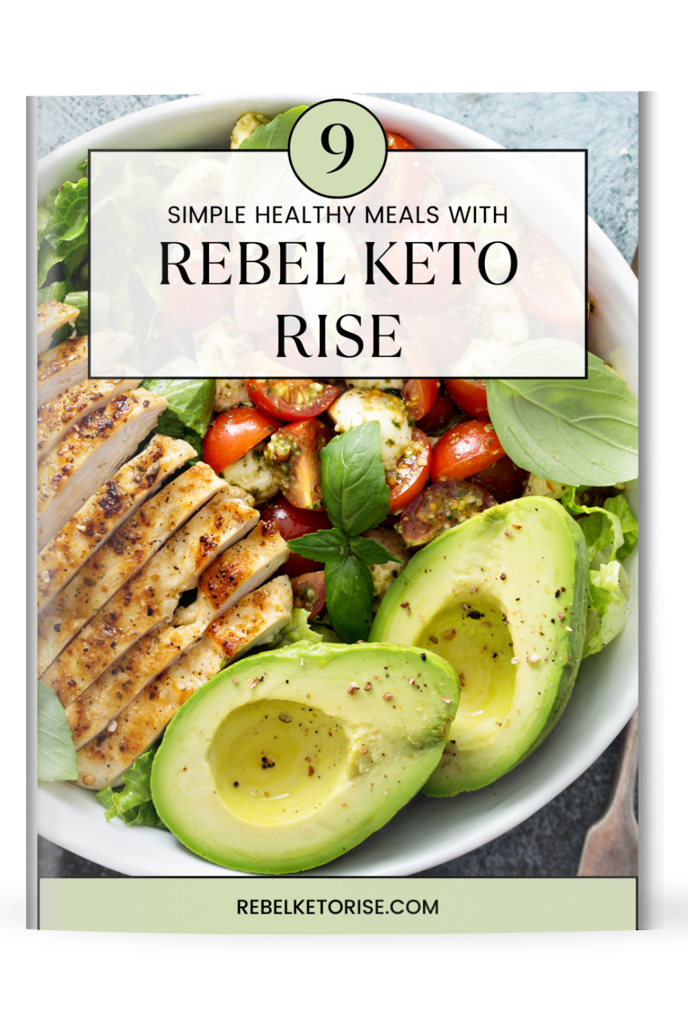 Rebel Keto Rise Book